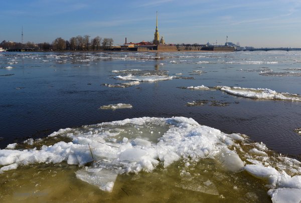 Чепца ледоход