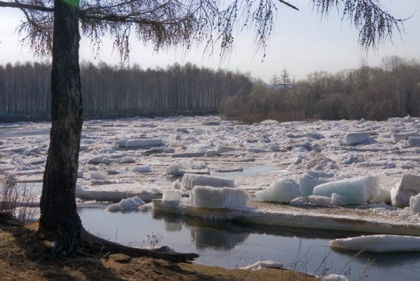 Ледоход Витим