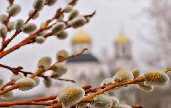 Верба Церковь Вербное Воскресение