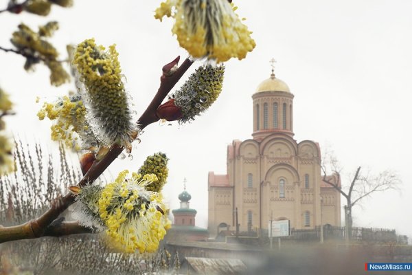 Пасха Церковь Верба