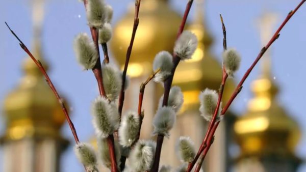 Весенний праздник Вербное воскресенье
