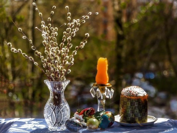 В воскресенье Вербное Верба расцвела