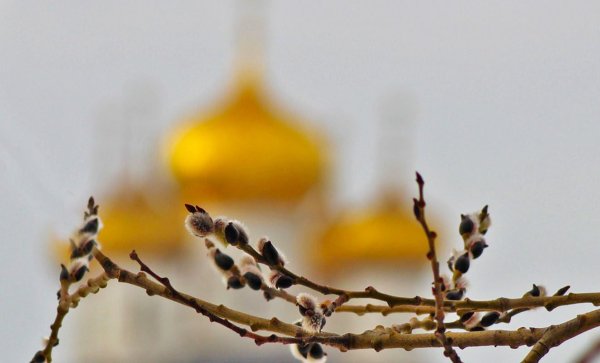 Вербное воскресенье рисунки
