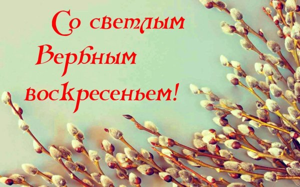 Букет "Вербное воскресенье"