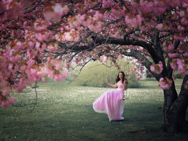 Черри блоссом модель