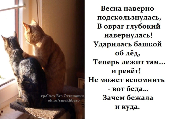 Весна заблудилась смешные