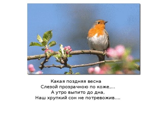 Весна потерялась картинки