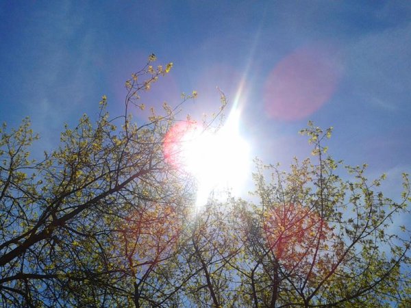 Светит Весеннее солнце