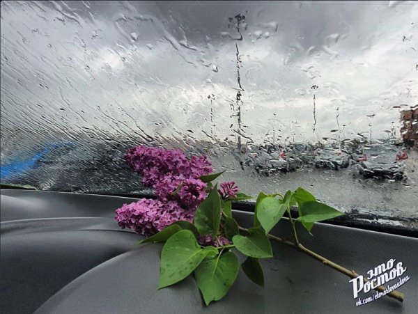 Ливень Краснознаменск Весна