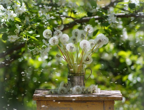 Яркие весенние цветы