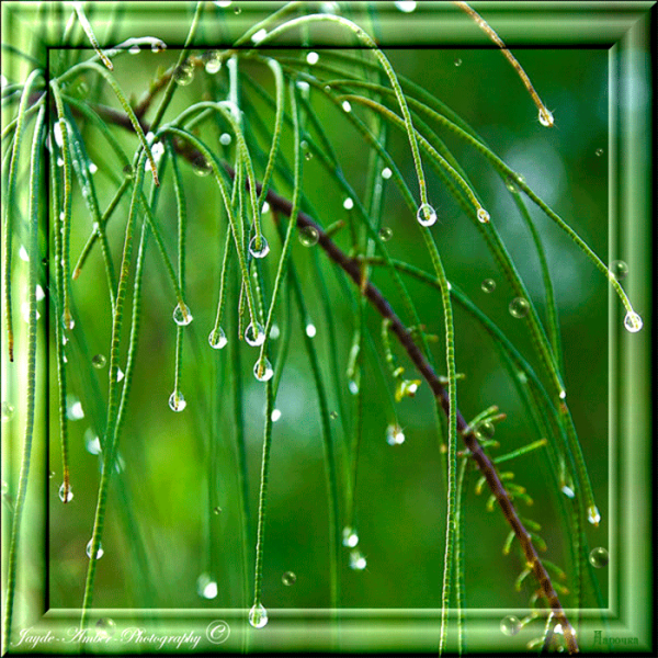 Дождь весной