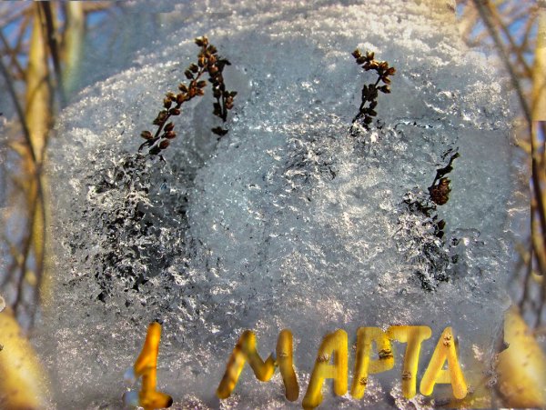 С первым весенним снегом