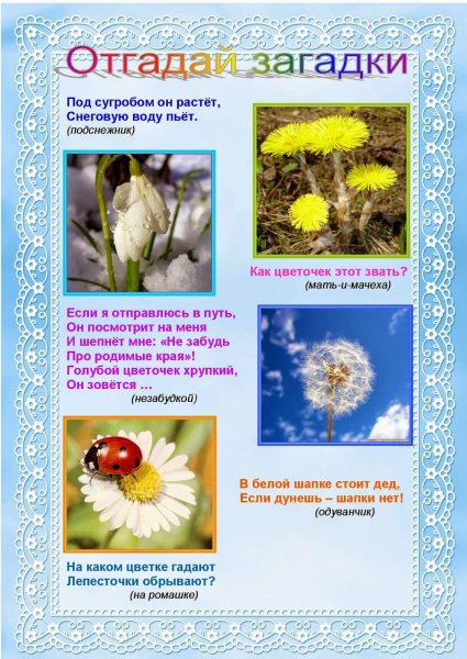 Тема недели растения весной