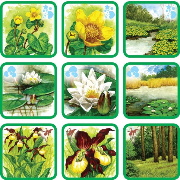 Цветочное лото для дошкольников