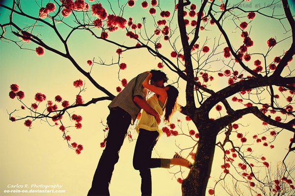 Влюбленные под деревом