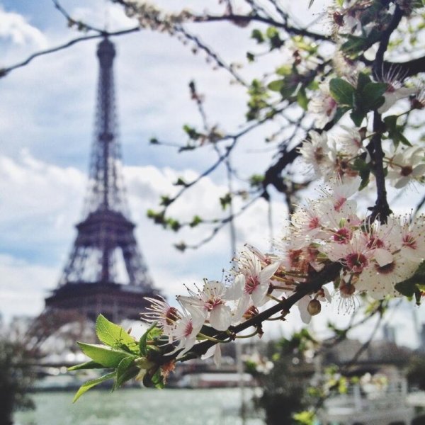 Париж весной