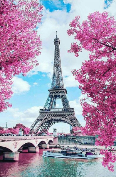 Solo Blooming City
