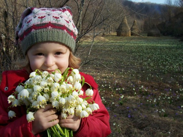 Подснежник для детей