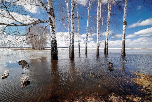 Весеннее половодье