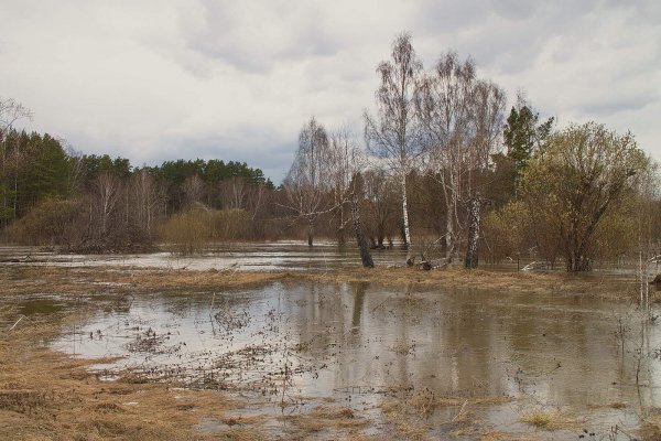 Разлив реки весной