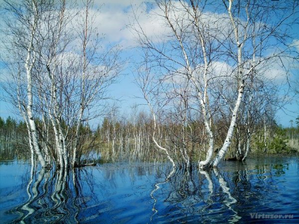 Паводок 2022 в Волгоградской области