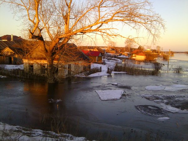 Сясь разлив на реке