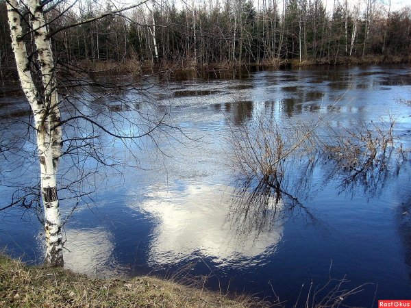 Весеннее половодье
