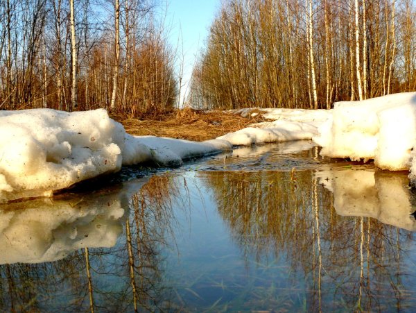 Половодье разлив реки весной