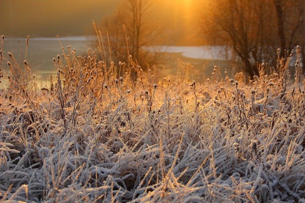 Первые заморозки