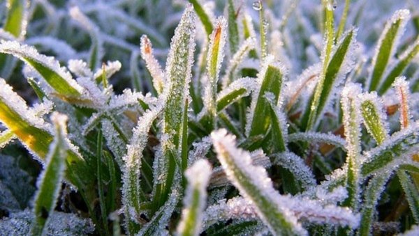 Заморозки Весна