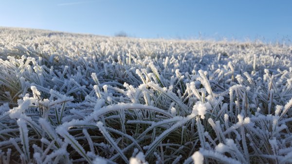 Заморозки летом