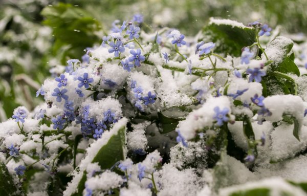 Весеннее похолодание