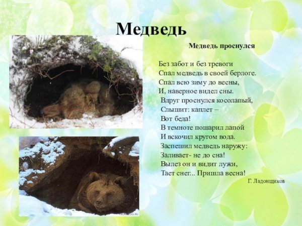 Стихотворение спал медведь в своей берлоге