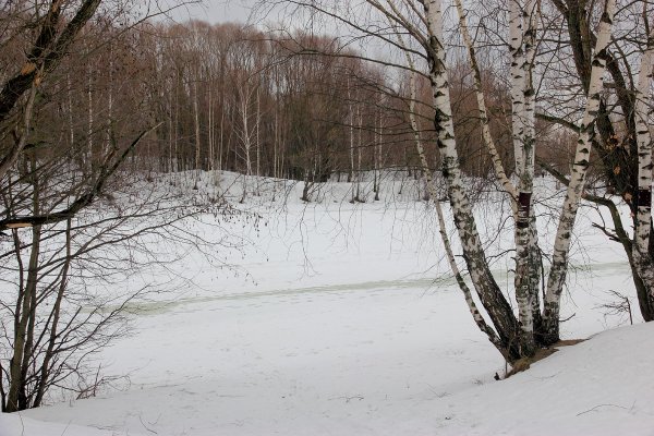 Ранняя Весна и поздняя Весна