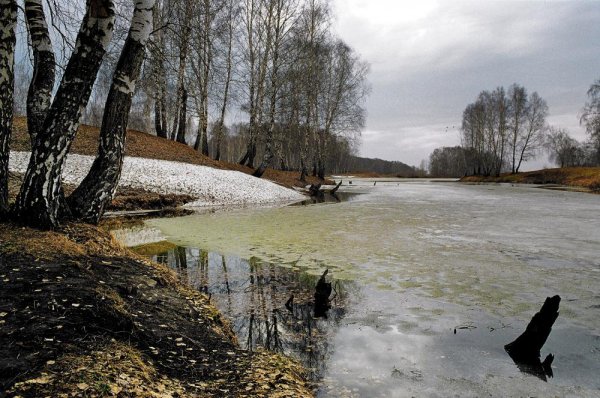 Поздняя осень