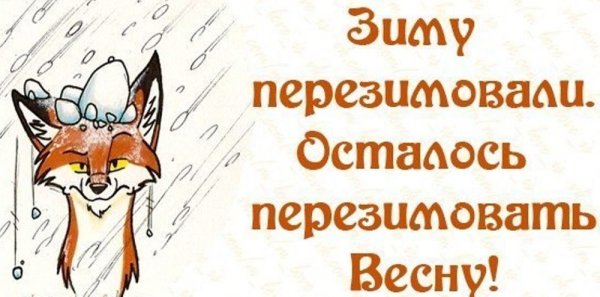 Зиму перезимовали осталось перезимовать весну прикольные