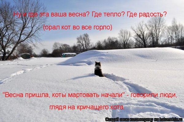 Весна ты где картинки