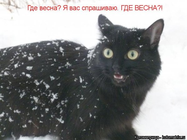 Весна ты где