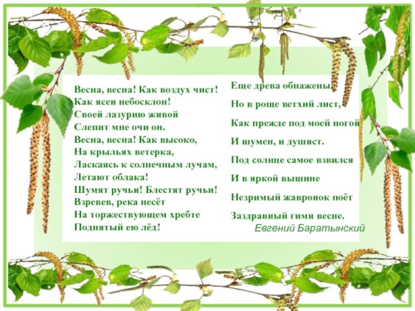 Уголок природы Весна