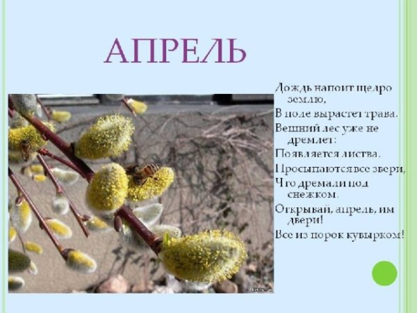 Детские стихи про май