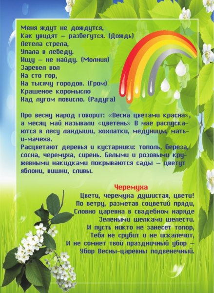 Поговорки про май для детей