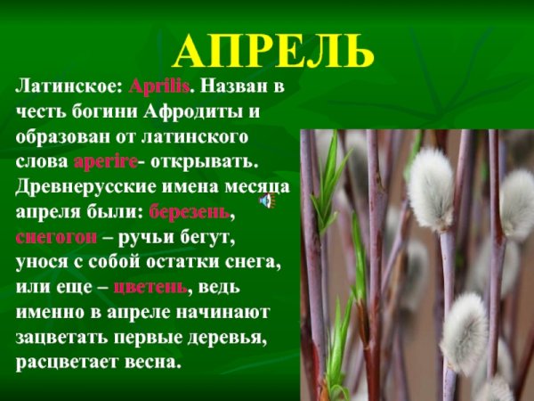 Поговорки о марте для детей