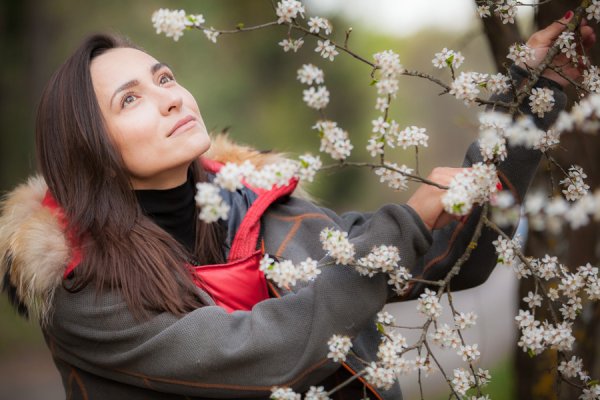 Весна в цветущем саду