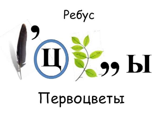 Цветочные ребусы с ответами