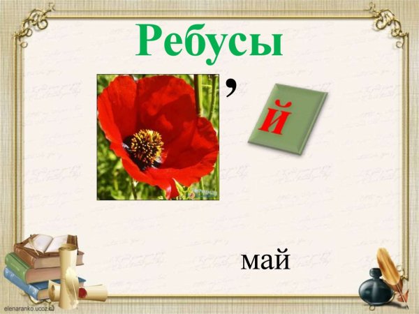 Ребусы про цветы