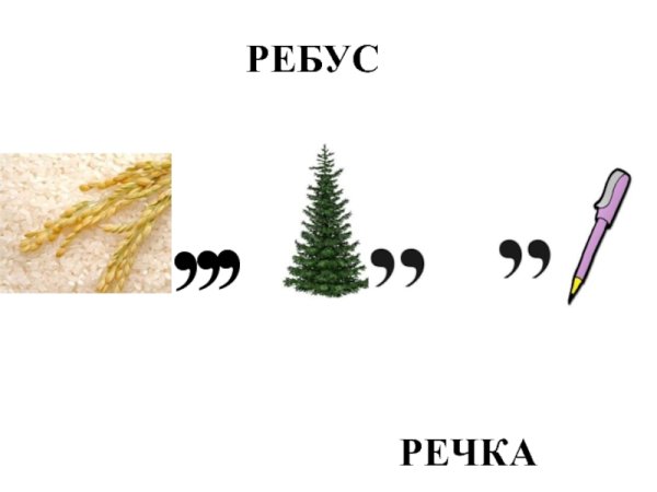 Ребусы по ботанике