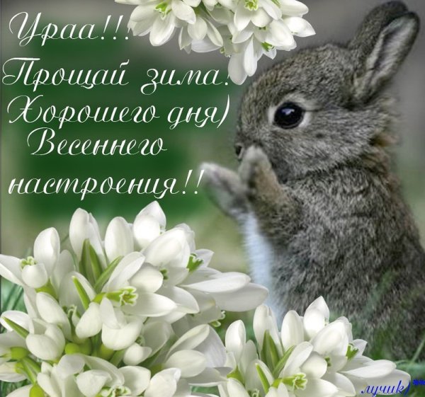 С первым днем весны