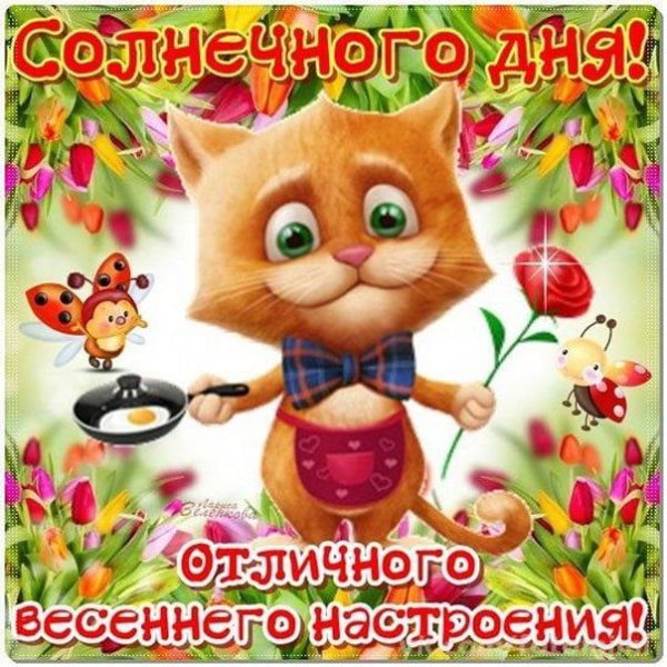 Красивые позитивные картины