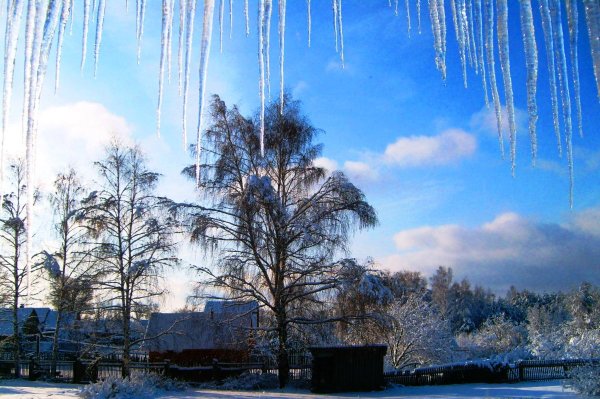 Февраль сосульки