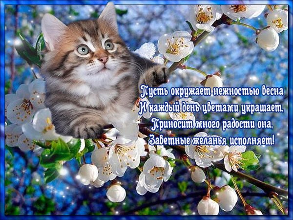 Весеннее настроение